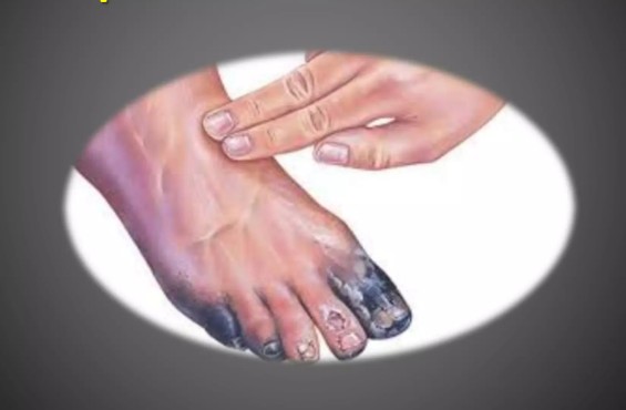 screenshot 2026 02 11 154426